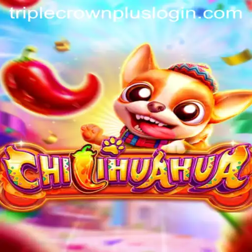 CHILIHUAHUA: Unleashing the Triple Crown Plus Experience
