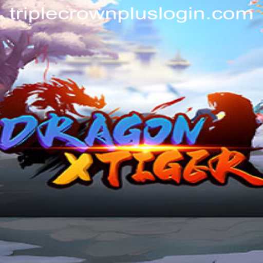 DragonXTiger Game Overview