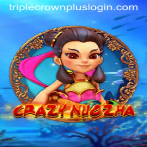 Introducing CrazyNuoZha and Its Features